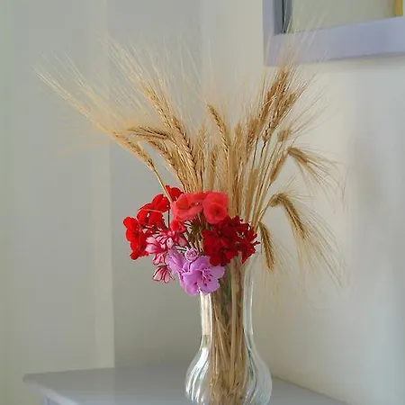 דירה Sunbay *